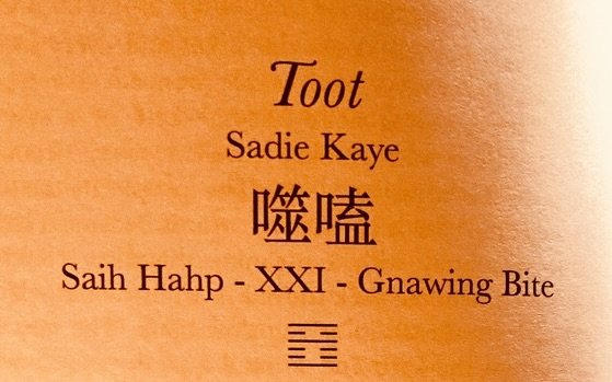 Toot by Sadie Kaye in A Book of Changes