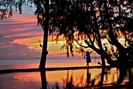 A Dedicated Follower of Passion