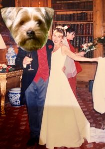 Hong Kong Marriage Stories!