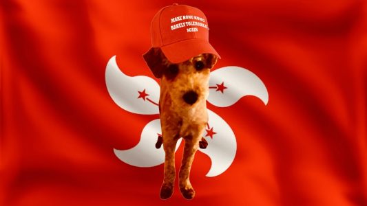 Thank you for supporting Home Kong!