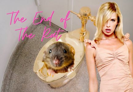 The End of The Rat